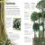 Woodland and Forest Preview 2