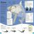 DKfindout! Sharks Preview 3