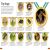 DKfindout! Bugs Preview 2