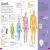 DKfindout! Human Body Preview 1