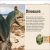 Pocket Eyewitness Dinosaurs Preview 1