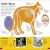DKfindout! Big Cats Preview 3