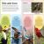 DKfindout! Birds Preview 3