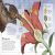 Mammoth Science Preview 2