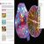 The Natural History Book Preview 2