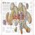 Stephen Biesty's Incredible Body Cross-Sections Preview 2