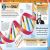 The DNA Book Preview 1
