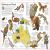 The Animal Atlas Preview 4