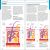 First Aid Manual 11th Edition Preview 3