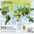 Climate Emergency Atlas Preview 4