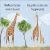 G is for Giraffe Preview 1