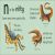 N is for Newt Preview 2
