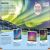 DKFindout! Arctic and Antarctic Preview 1