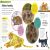 The Very Hungry Caterpillar's Very First Animal Encyclopedia Preview 3