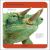Our World in Pictures Animals of the World Flash Cards Preview 2