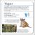 Our World in Pictures Animals of the World Flash Cards Preview 4
