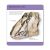 Our World in Pictures Rocks & Minerals Flash Cards Preview 3