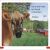 DK Super Readers Pre-Level Farm Animals Preview 1