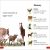 DK Super Readers Pre-Level Farm Animals Preview 3