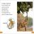 DK Super Readers Level 1 Animal Feeding Time Preview 2
