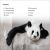 DK Super Readers Level 2 The Great Panda Tale Preview 1