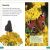 DK Super Readers Level 3 Animal Hide and Seek Preview 3
