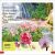 DK Super Readers Pre-Level Into the Rainforest Preview 2