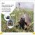 DK Super Readers Level 2 Animals at Home Preview 2