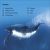 DK Super Readers Level 2 Journey of a Humpback Whale Preview 1