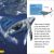DK Super Readers Level 2 Journey of a Humpback Whale Preview 2