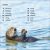DK Super Readers Level 1 Sea Otters Preview 1