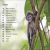 DK Super Readers Level 1 Monkeys Preview 1