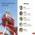 DK Super Readers Pre-Level Amusement Park Preview 4