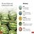 DK Super Readers Pre-Level Shapes and Patterns in Nature Preview 4