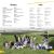 DK Super Readers Level 2 Earth Smart Preview 4