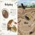 Bedtime Books Preview 1