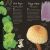 An Anthology of Fungi Preview 3