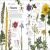 Eyewitness Plant Preview 2
