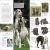 Eyewitness Dog Preview 1