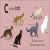C is for Cat Preview 1