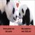 Baby Touch and Feel Panda Preview 1
