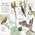 The Bird Atlas Preview 3