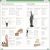Eyewitness Workbooks Ancient Greece Preview 4