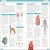 Eyewitness Workbooks Human Body Preview 1