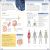 Eyewitness Workbooks Human Body Preview 2