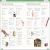 Eyewitness Workbooks Human Body Preview 4