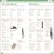 Eyewitness Workbooks Medieval Life Preview 4