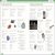 Eyewitness Workbooks Stars & Planets Preview 4