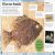 My Book of Fossils Preview 1