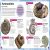 My Book of Fossils Preview 2